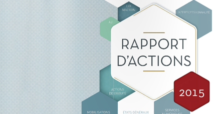 Rapport d'actions 2015 du Conseil national des barreaux