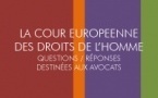 Publication du guide pour les avocats intervenant devant la Cour européenne des droits de l’homme